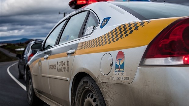 Une arrestation et plus de 200 plants de cannabis saisis à Biencourt