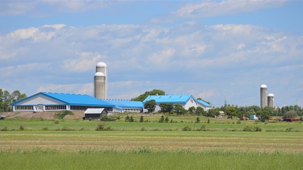 Portrait de l’évolution de la ruralité au Bas-Saint-Laurent
