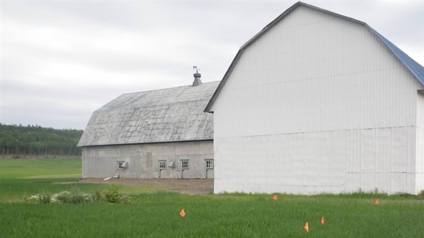 L’ARTERRE arrive au Bas-Saint-Laurent