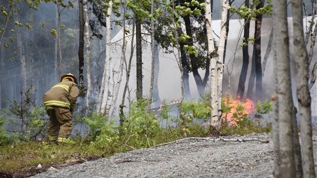 Un feu de forêt a menacé des maisons à Saint-Antonin