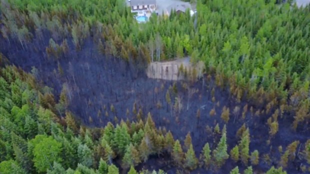 Feu de forêt à Saint-Antonin: des images aériennes montrent l'étendue