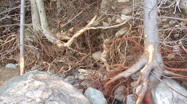 L’Association des propriétaires riverains du lac Témiscouata dépose une plainte suite aux inondations
