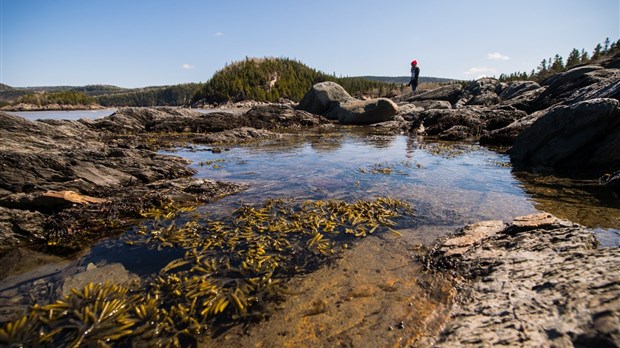 Le parc national du Bic souligne les bons coups pour l'environnement