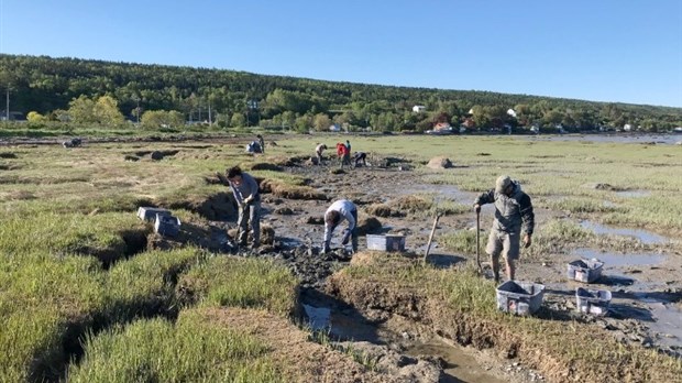 La restauration se poursuit dans l'anse du Portage