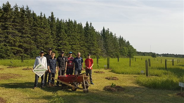 Un grand arboretum est créé à Notre-Dame-du-Portage 