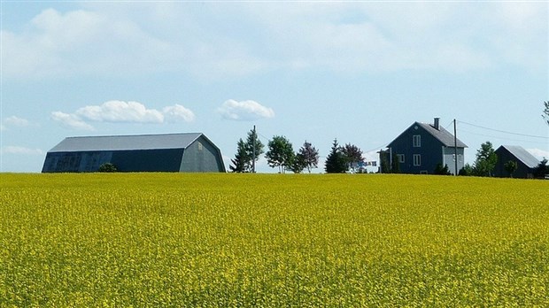 Bilan de mi-saison 2018 en assurance récolte au Bas-Saint-Laurent
