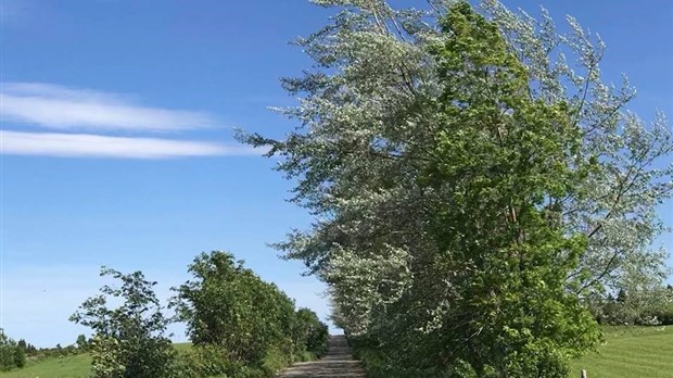 La Route des passants, une marche longue durée à votre portée