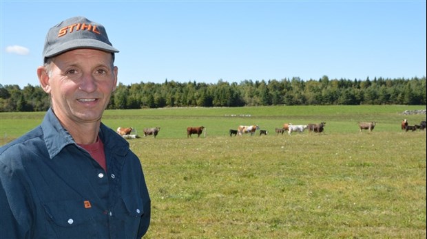 Assurance récolte : les agriculteurs se croisent les doigts
