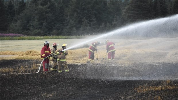 Incendie dans un champ de Cacouna 