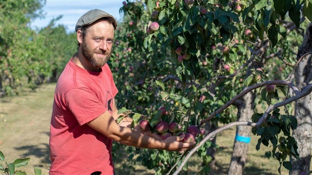 Un temps des pommes familial à la Manne Rouge 