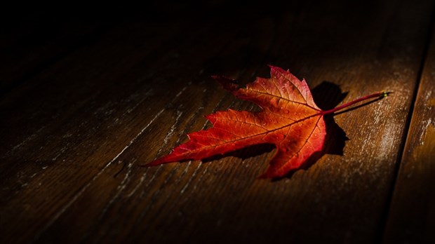 Aperçu météorologique de l’automne au Bas-Saint-Laurent
