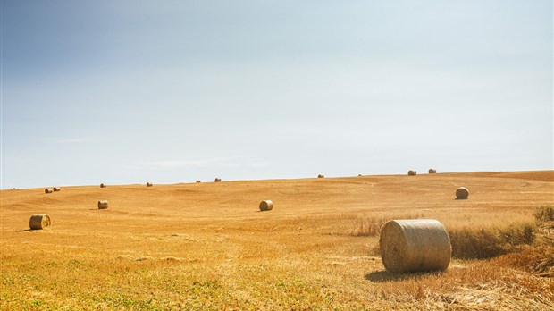 La MRC de Témiscouata débute la révision de son Plan de développement de la zone agricole