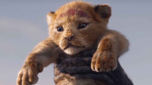 Douze films à découvrir en 2019
