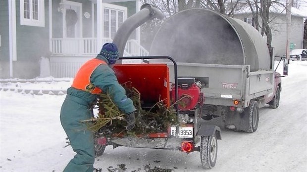 Collecte des arbres de Noël à Rivière-du-Loup