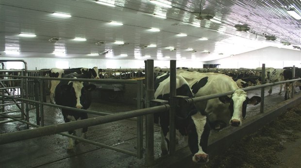 Transférer sa ferme… c’est possible!