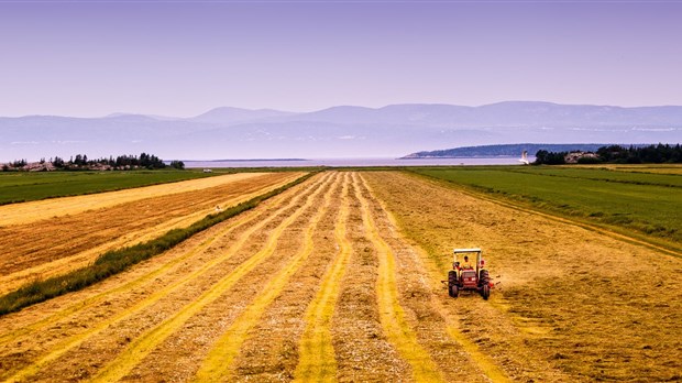 Un nouvel outil d'accompagnement pour les projets bioalimentaires