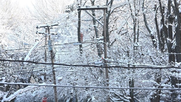 L'électricité est de retour sur l'ile Verte
