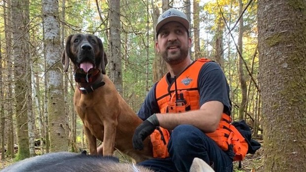 Un chien de sang atteint par balles au Témiscouata