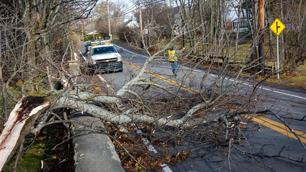  Alerte météo : des vents de 100 km/h et des pannes électriques