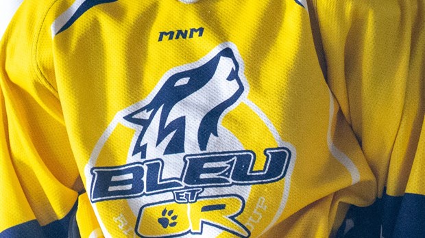 Les Albatros reçoivent Hockey Rivière-du-Loup 