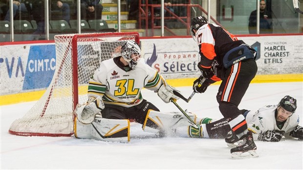 Les 3L dégringolent au dernier rang de la Ligue nord-américaine de hockey