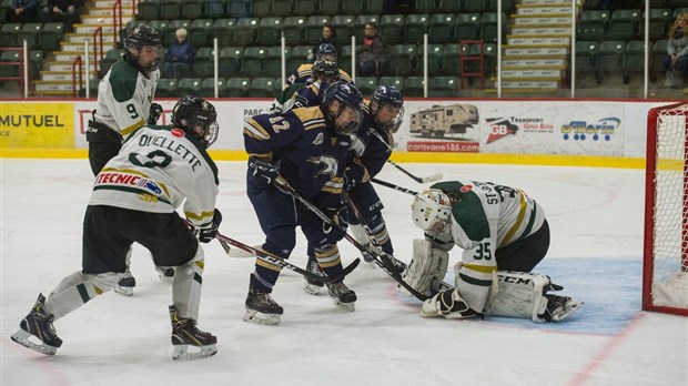 Les Albatros blanchis par les Gaulois de Saint-Hyacinthe