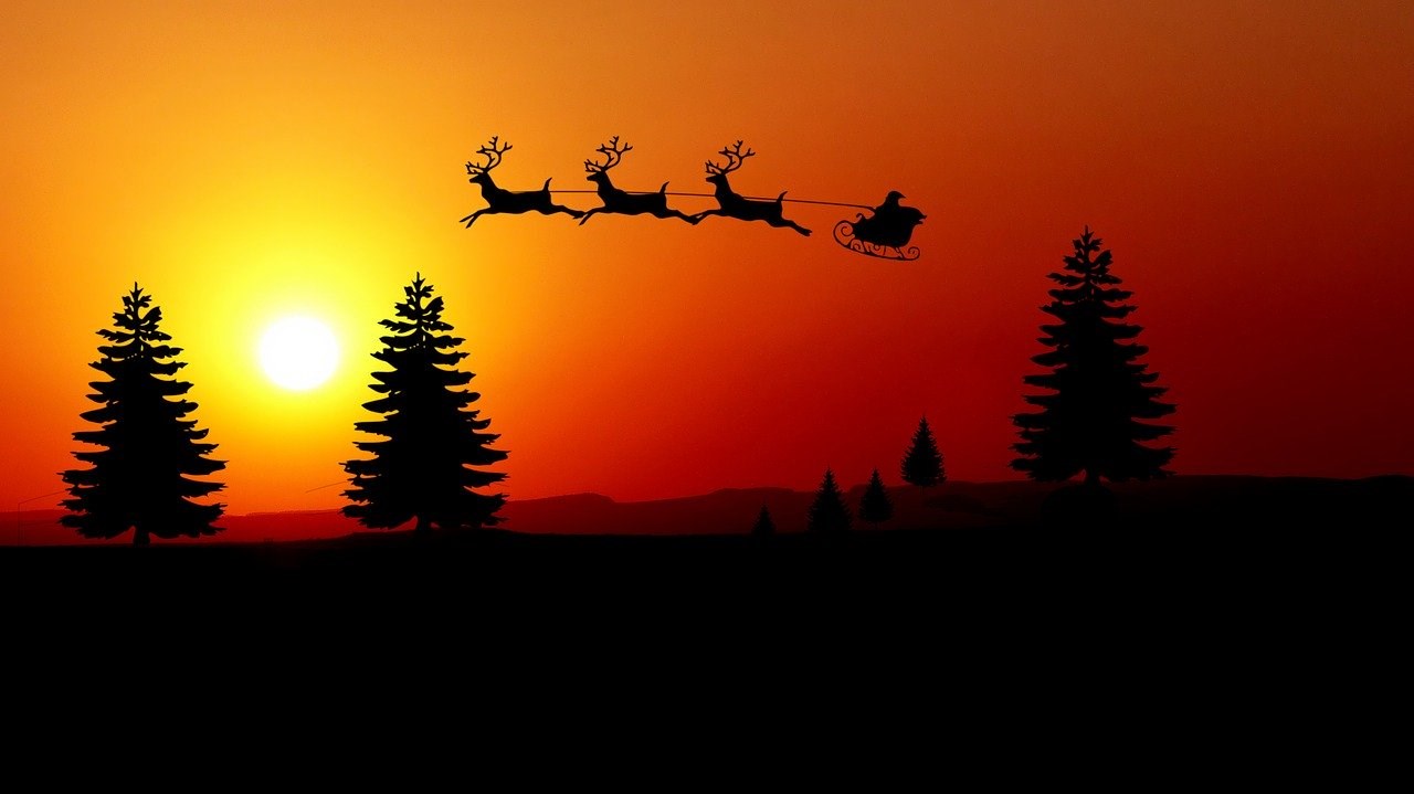 Connaissez-vous vraiment les rennes du père Noël?