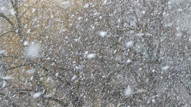 Entre 20 et 40 centimètres de neige prévus au KRTB 