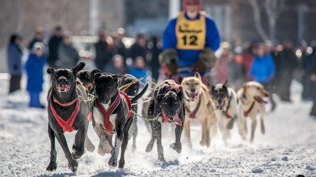 Course de chiens du Kamouraska à Rivière-Ouelle