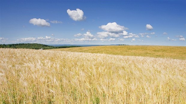 Plan de développement de la zone agricole (PDZA) : la MRC de Témiscouata organise une consultation