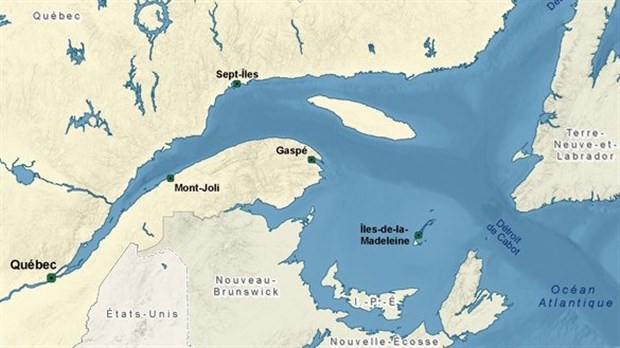 Une première grande aire marine protégée dans le golfe du Saint-Laurent