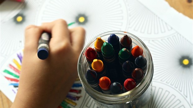 Le parcours scolaire des élèves ayant un TSA : un combat continu