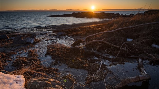 Prudence lors de la cueillette de mollusques cette fin de semaine