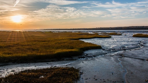 245 000 $ pour l'industrie touristique des circonscriptions de Rivière-du-Loup – Témiscouata et Côte-du-Sud