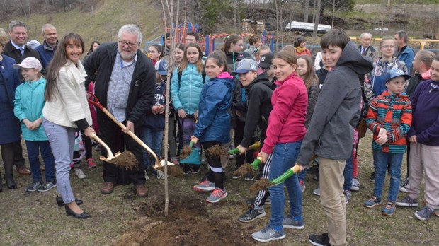 L’Association forestière bas-laurentienne fête ses 10 ans