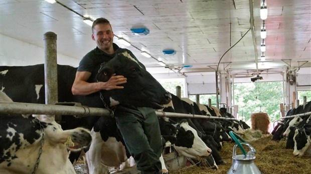 Le Bas-Saint-Laurent est un leader incontesté du lait bio 