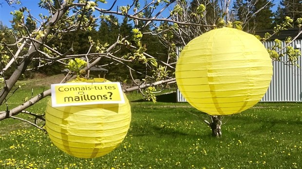 Une lanterne jaune pour signifier son appui à la démarche citoyenne Maillon