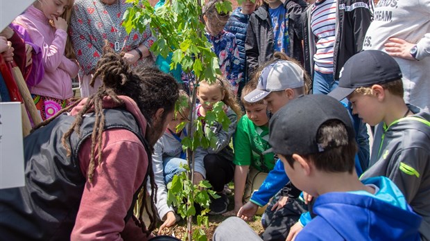 Près de 1 500 nouveaux arbres prendront racine en sol louperivois