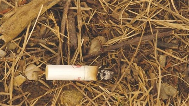 Les mégots mal éteints demeurent une cause importante de feu de forêt