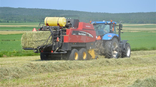 La première récolte de foin est commencée dans l'Est-du-Québec