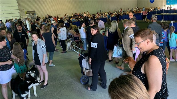 Expo canine de Rimouski : un succès retentissant 