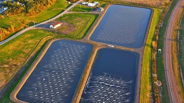 La Ville de Rivière-du-Loup pourra aller de l’avant avec son projet d’augmentation de la capacité de traitement