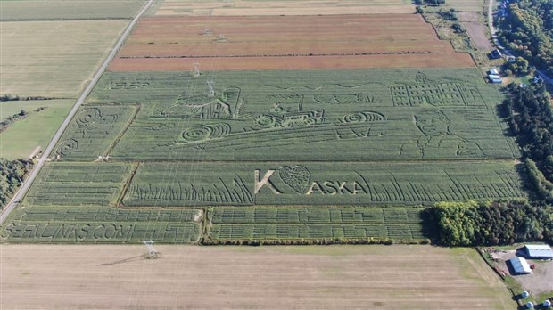 Le plus grand labyrinthe au monde se trouve à La Pocatière 