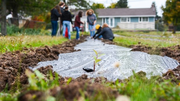 Mobilisation pour la plantation du parc Foresti-Fruits de Trois-Pistoles