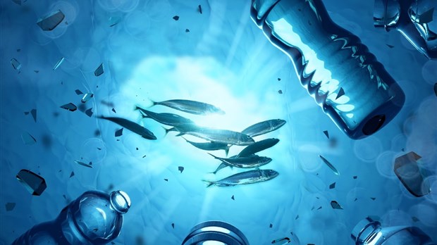 Oceana Canada exhorte le gouvernement à bannir les plastiques à usage unique inutiles