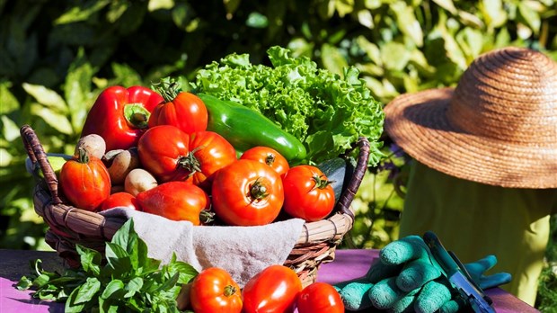 Projet d’implantation d’un motel agricole dans la MRC des Basques