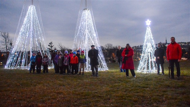 Des sapins de Noël pour illuminer la noirceur de novembre 