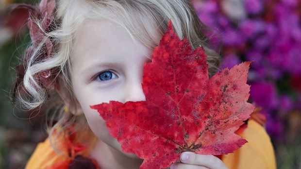 Spécialisation en Écoéducation par la nature : début des cours en septembre
