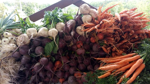 Le Marché public Lafontaine sera en fonction dès le 20 juin 