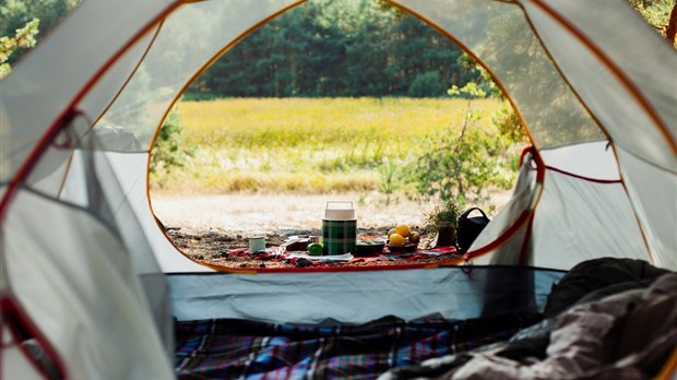  Québec confirme la réouverture des campings 